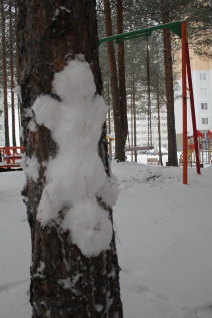 А у нас за окном зима)))