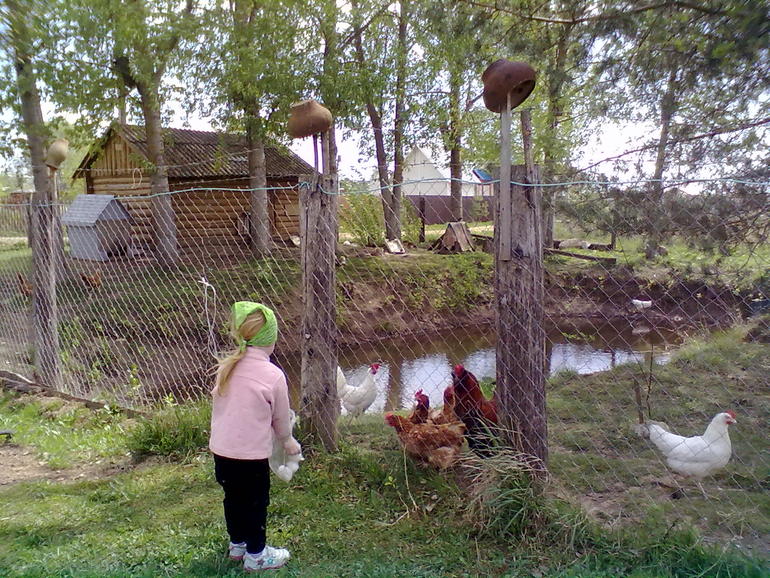 А мы вернулись!