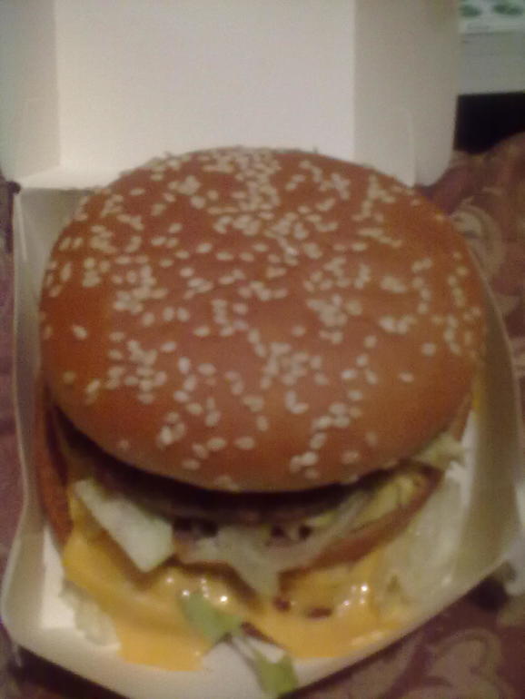 Знакомтесь, мое дерево любви!