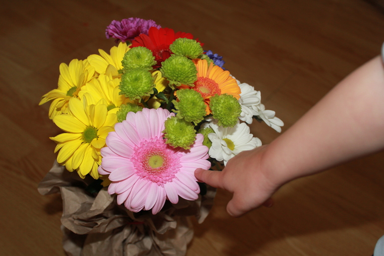 Изучаем цвета _Оранжевый