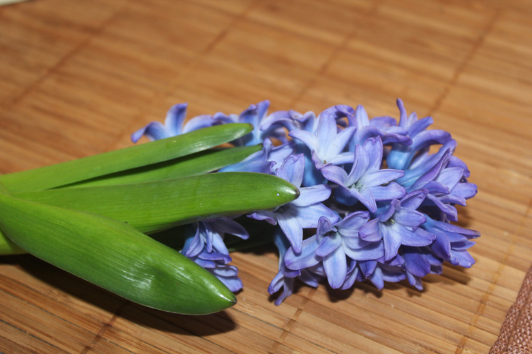 Изучаем цвета_Синий