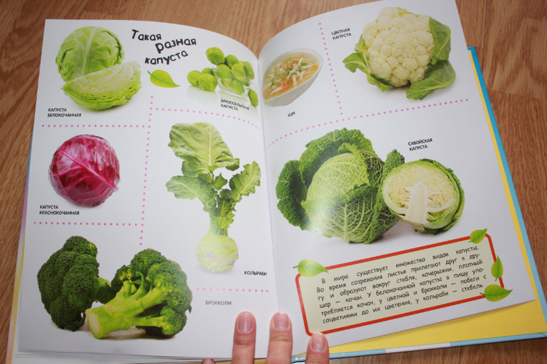 Мир в картинках