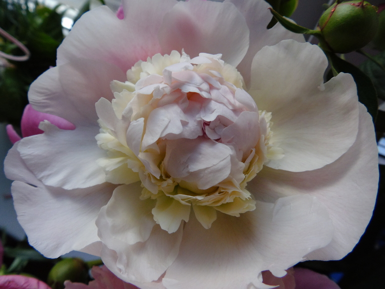 Краски лета