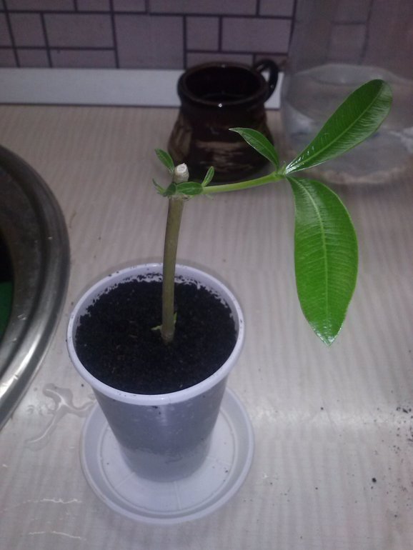 Может кто опознает?