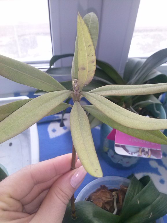 Может кто опознает?