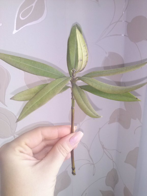 Может кто опознает?