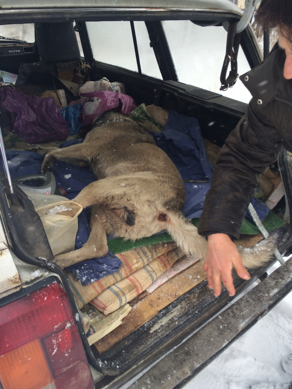 СОС!МОСКВА,ОТЗОВИСЬ!ПОБЕДА!!!ОПЕРАЦИЯ СПАСЕНИЯ ЗАВЕРШЕНА!НО ПОМОЩЬ ЕЩЕ НУЖНА!!!