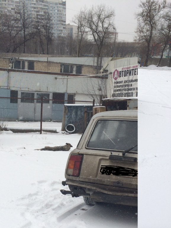 СОС!МОСКВА,ОТЗОВИСЬ!ПОБЕДА!!!ОПЕРАЦИЯ СПАСЕНИЯ ЗАВЕРШЕНА!НО ПОМОЩЬ ЕЩЕ НУЖНА!!!