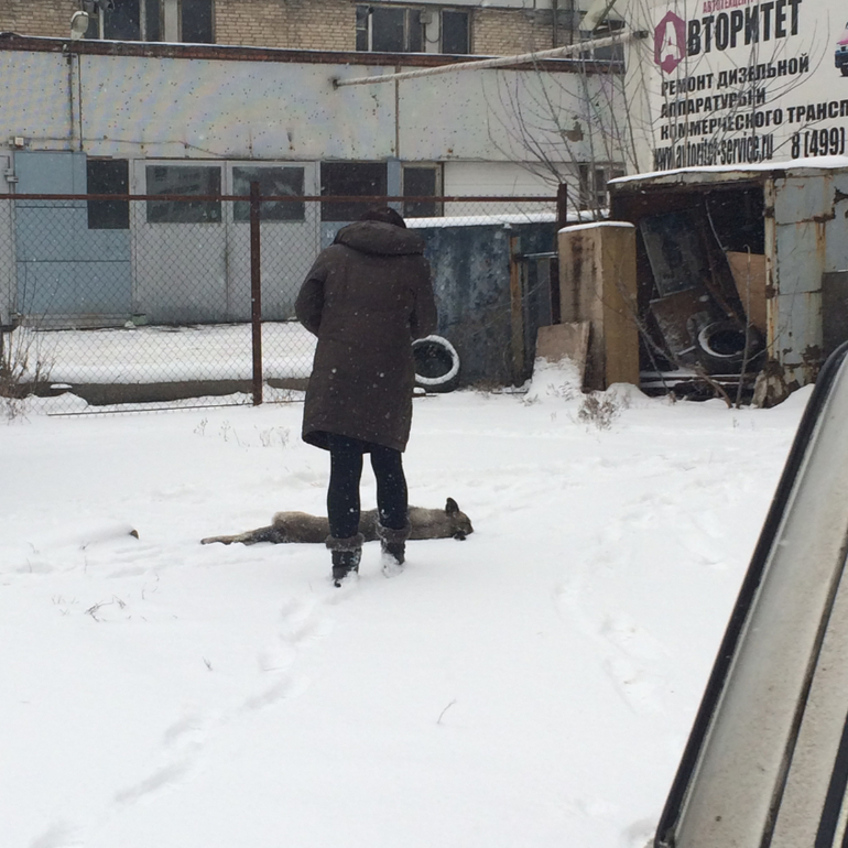 СОС!МОСКВА,ОТЗОВИСЬ!ПОБЕДА!!!ОПЕРАЦИЯ СПАСЕНИЯ ЗАВЕРШЕНА!НО ПОМОЩЬ ЕЩЕ НУЖНА!!!