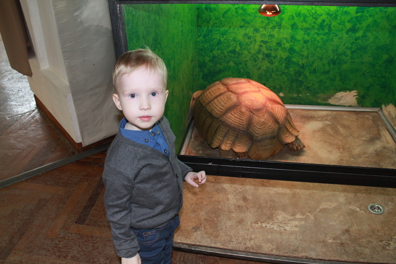 Прогулки весенние...