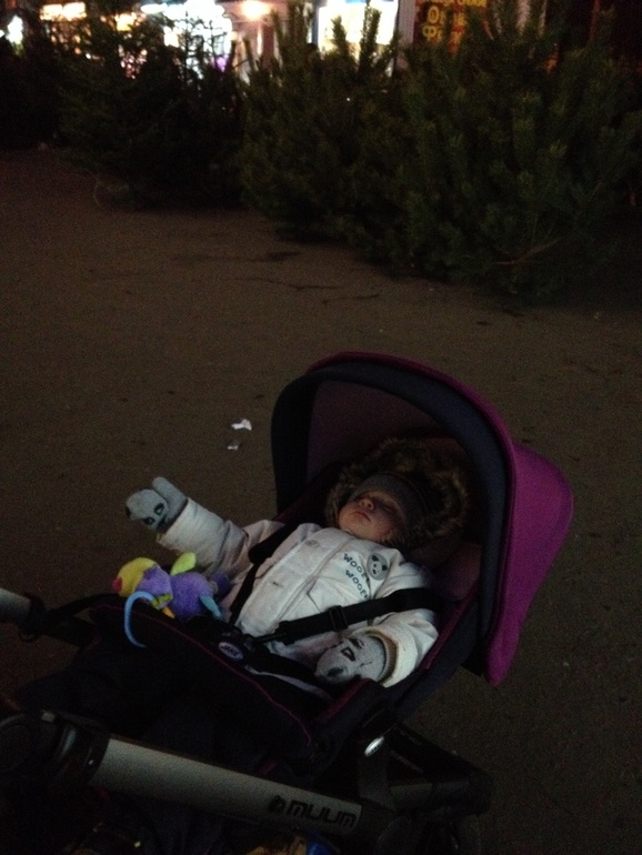 Мишка-гризли