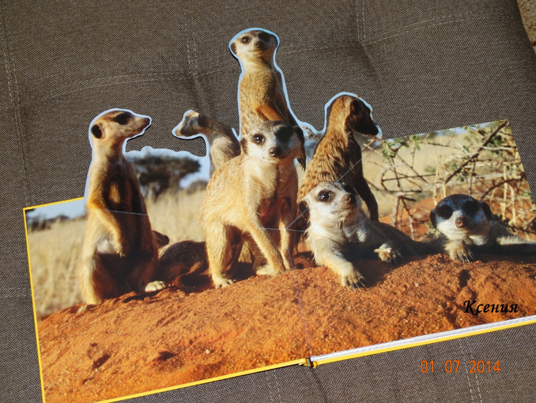 Дикие животные. Серия