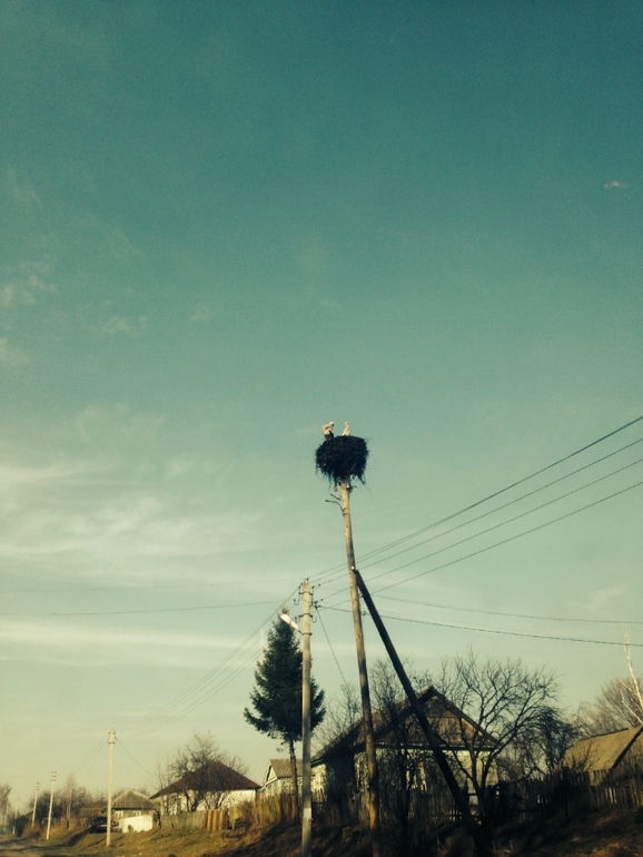 Прилетели!!! Разбирайте!