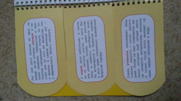 интересная книжечка