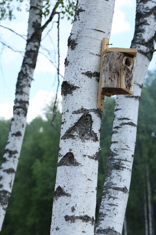 Этомир - анонс))