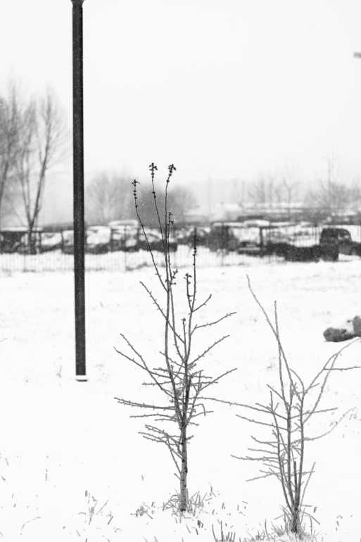 Будапешт финальное, в основном, портретное)