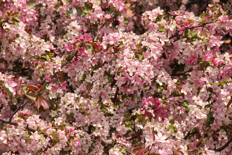 Наш последний день весны