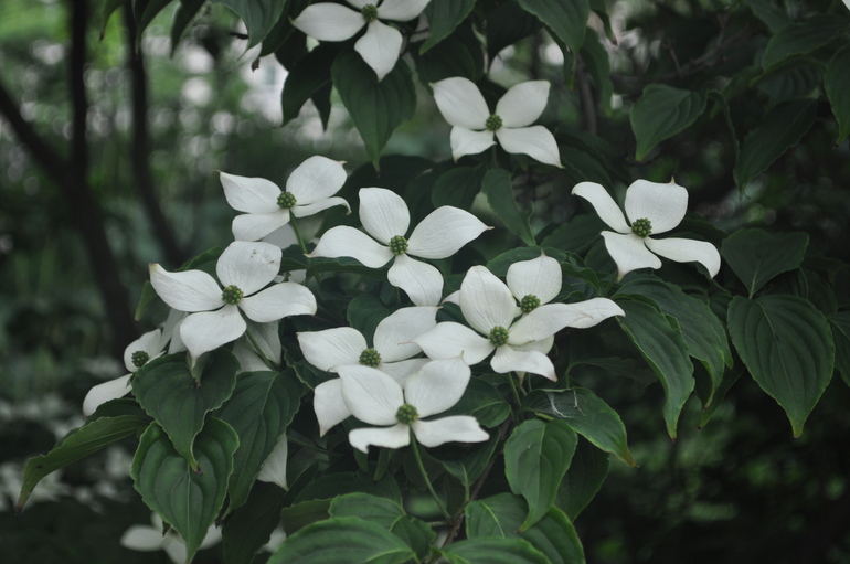 Для хорошего настроения:)