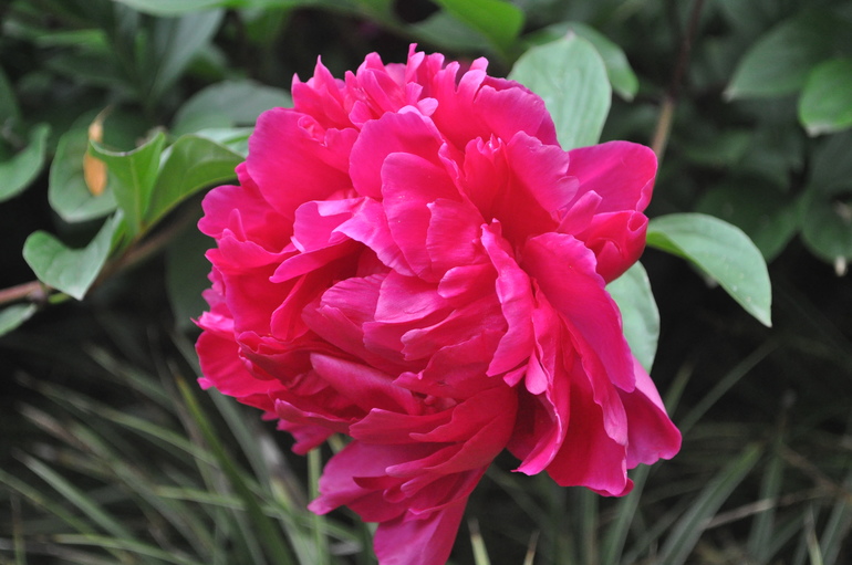 Для хорошего настроения:)