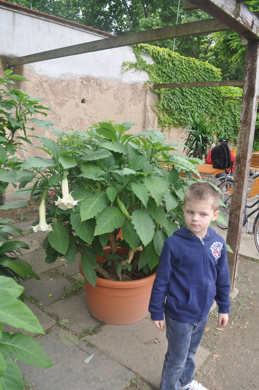 Для хорошего настроения:)