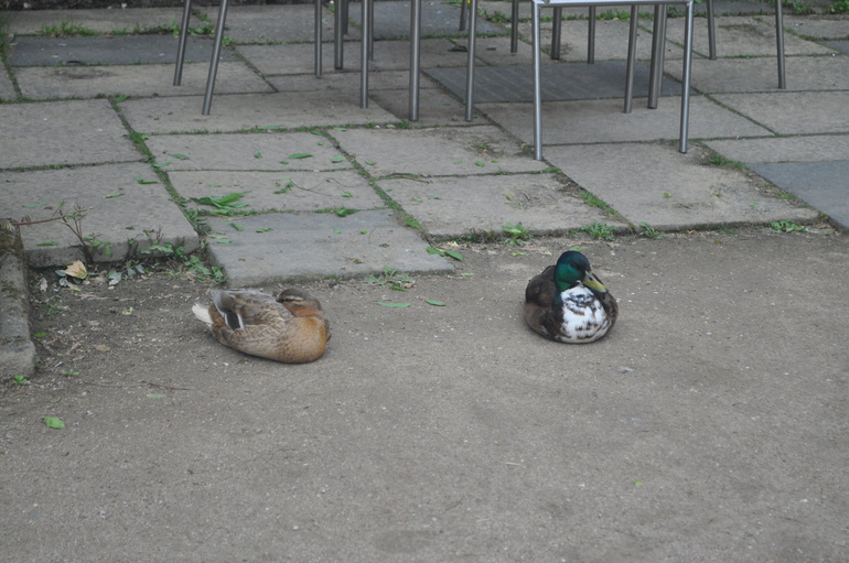 Для хорошего настроения:)