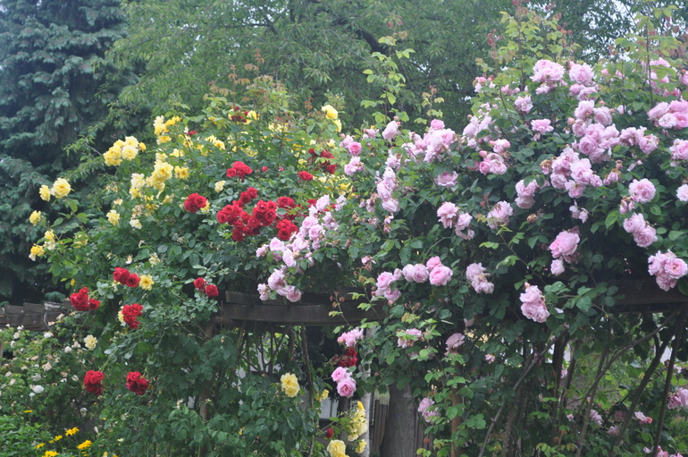 Для хорошего настроения:)