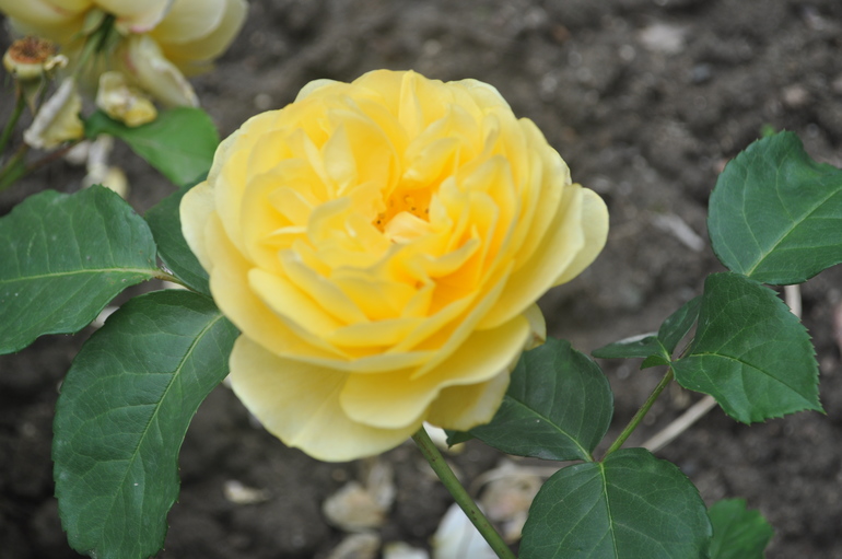 Для хорошего настроения:)