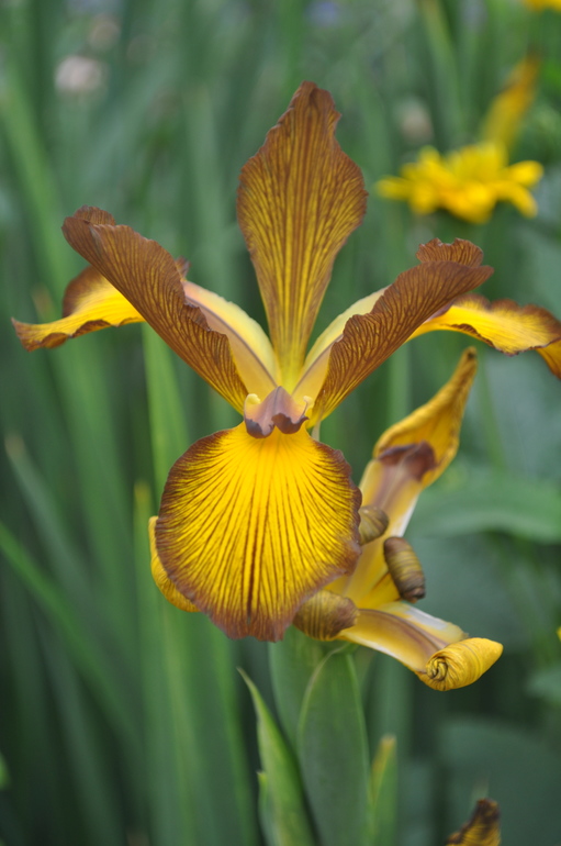 Для хорошего настроения:)