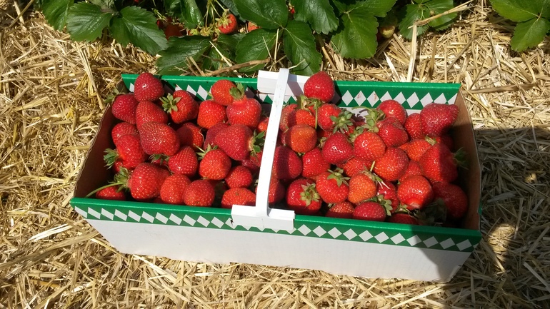 Клубничное...