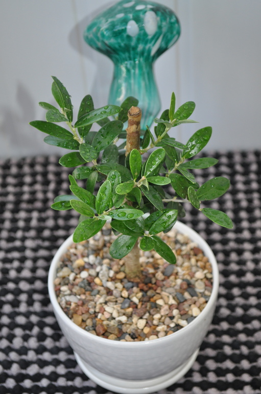 Что мы имеем на сегодняшний день:)