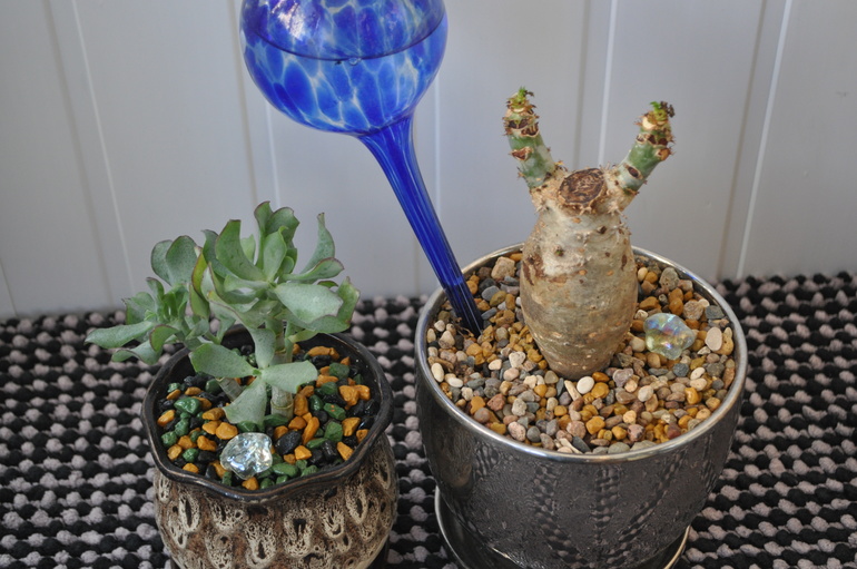 Что мы имеем на сегодняшний день:)