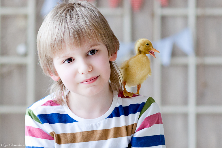 Сердца четырех