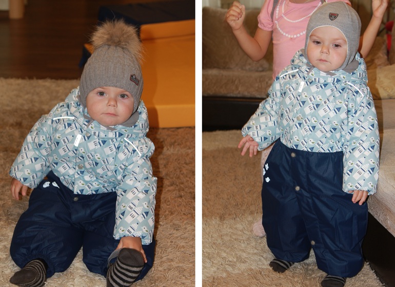 Зимний Филин Хваст)