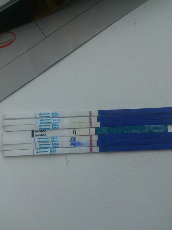 есть прогресс? и вопрос