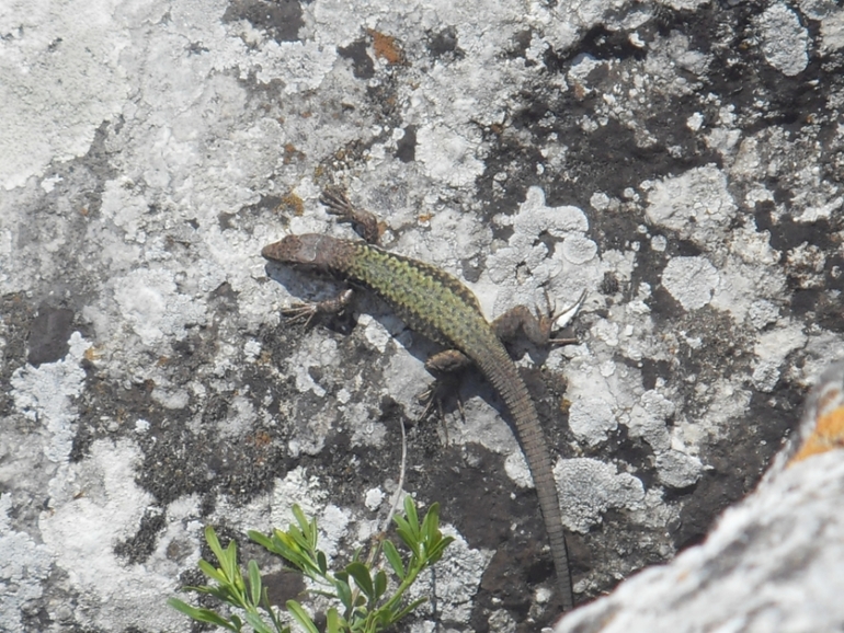 Крым моими глазами (семейные фото)