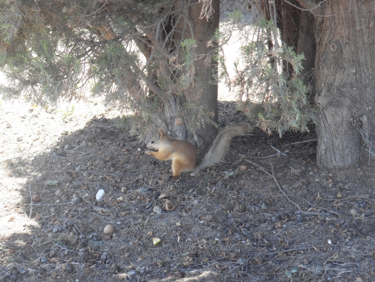 Крым моими глазами (семейные фото)