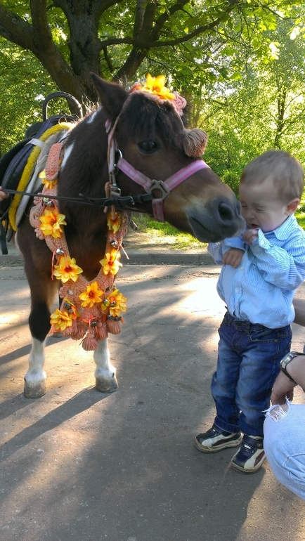 Нам 2 года ))) Много фото )))