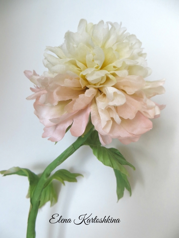 Интерьерный Пион древовидный.