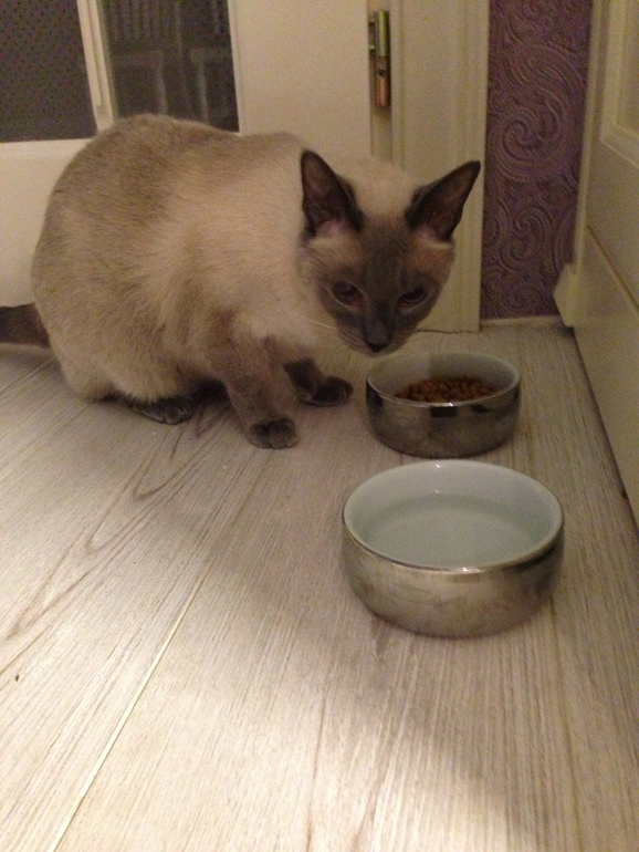 Один пазл Счасья ( 30.10.2013 г.)