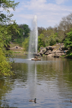 Лучший в мире Лимонад! или Майская Софиевка
