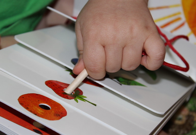 Про самую знаменитую гусеницу в мире!