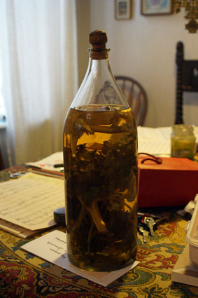 В гостях у Б.А. Диодорова.