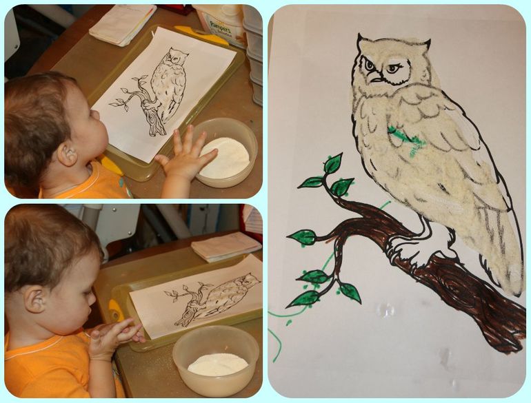 ТН Арктика и Антарктика. День 4 - Птицы