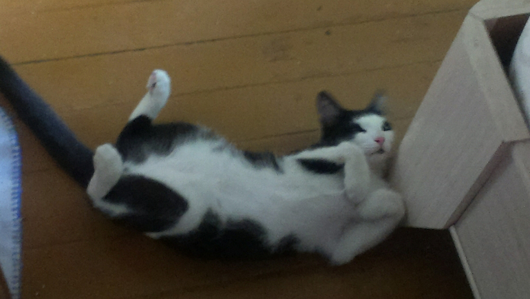 не ну эта наглость