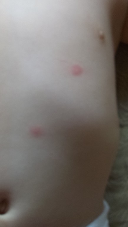 подскажите что это