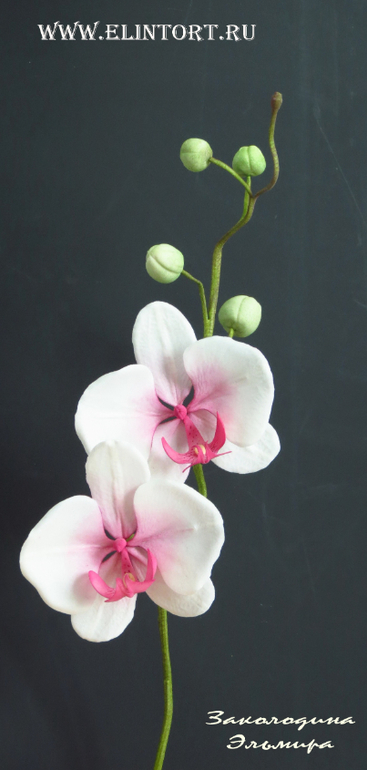 Мои Цветы со второго курса Олеси Голумбевской.