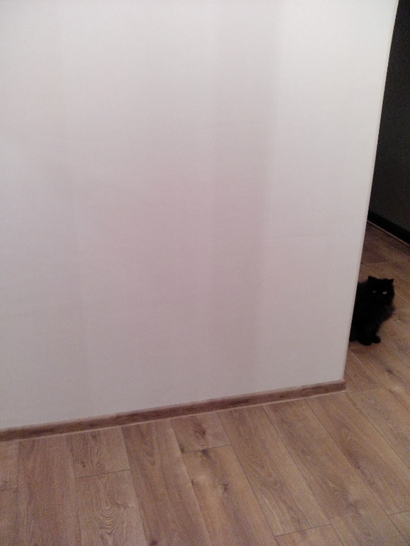 Какой цвет межкомнатных дверей выбрать?