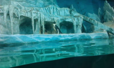 Экзотариум, океанариум