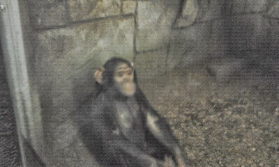 Экзотариум, океанариум