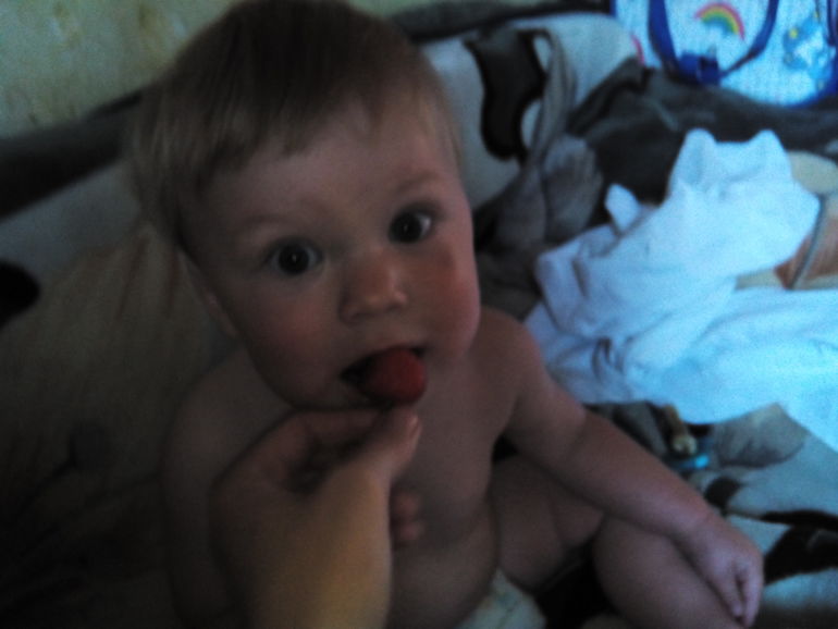 наши 11 месяцев